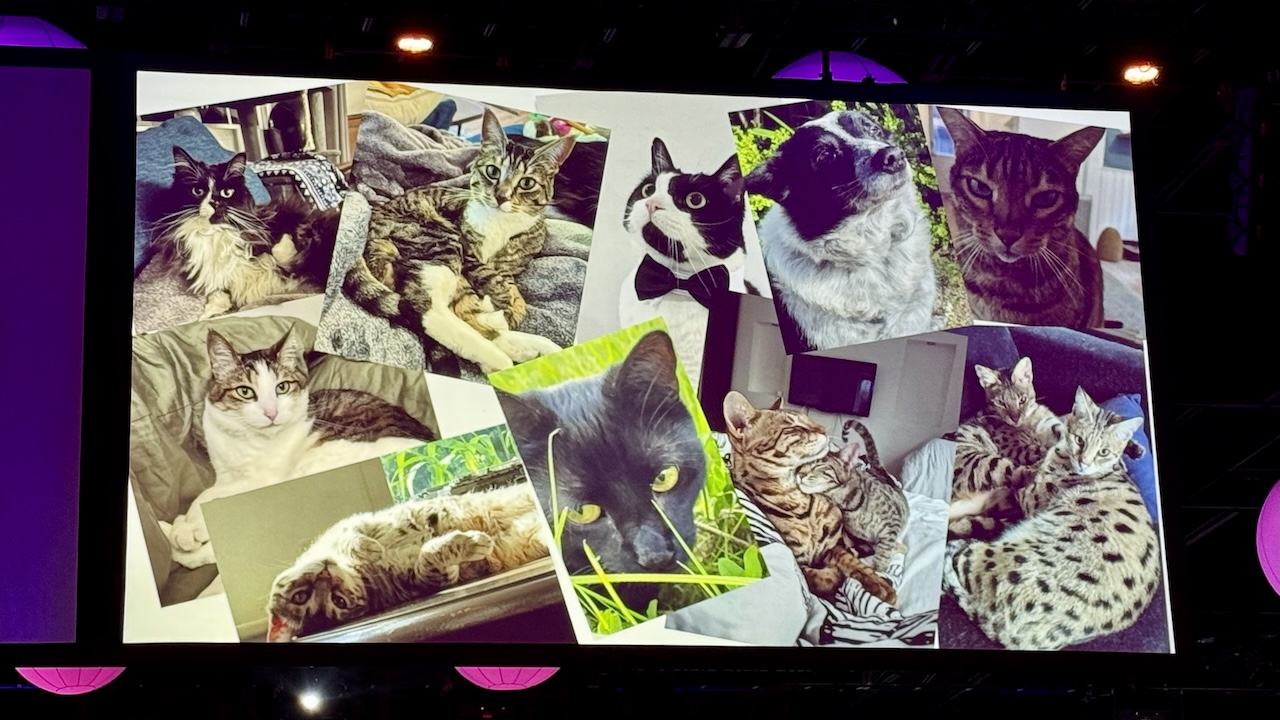 Deb Nicholson’s slide with a bunch of cats