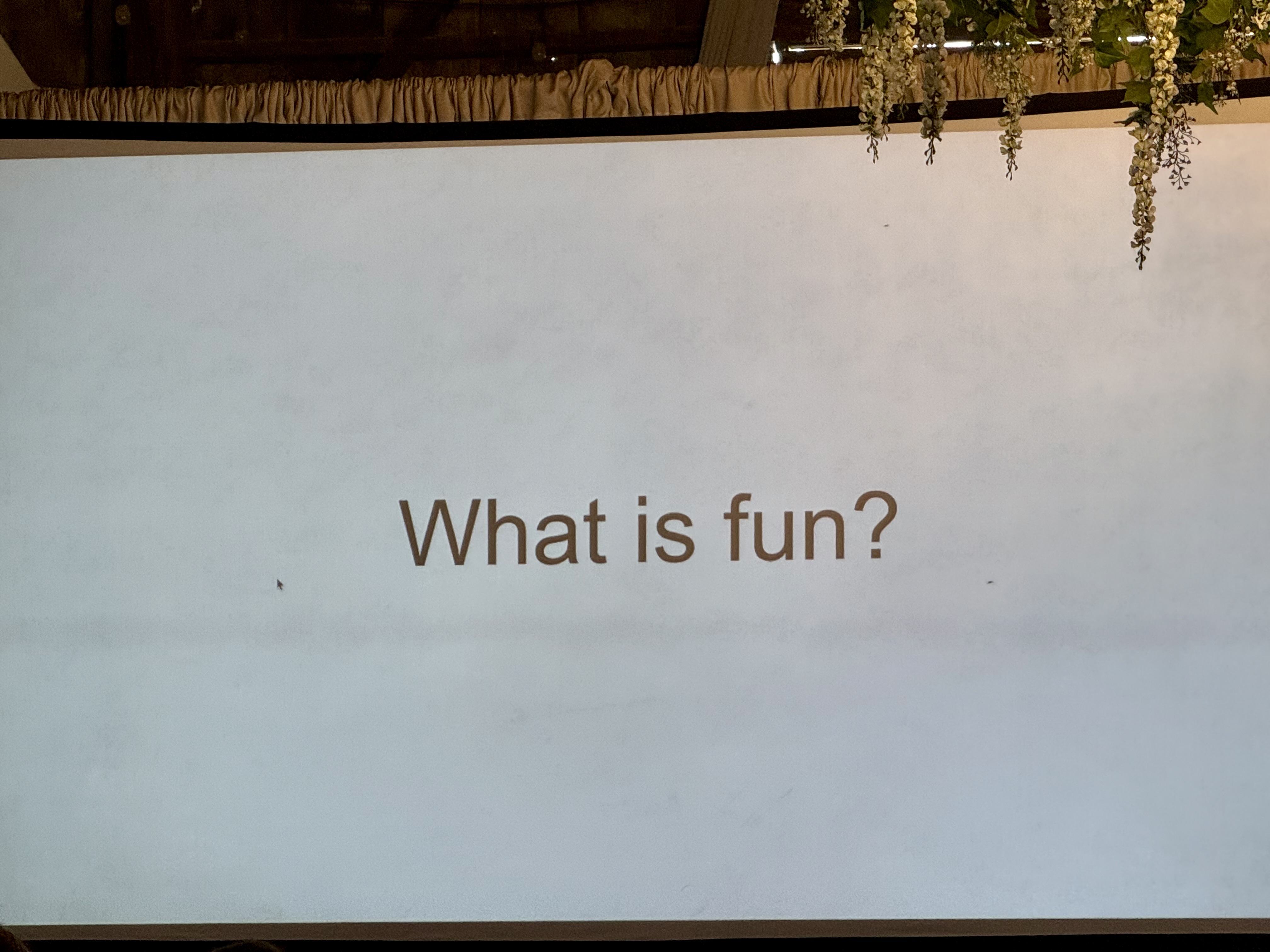 Slide with “What is fun?” on it