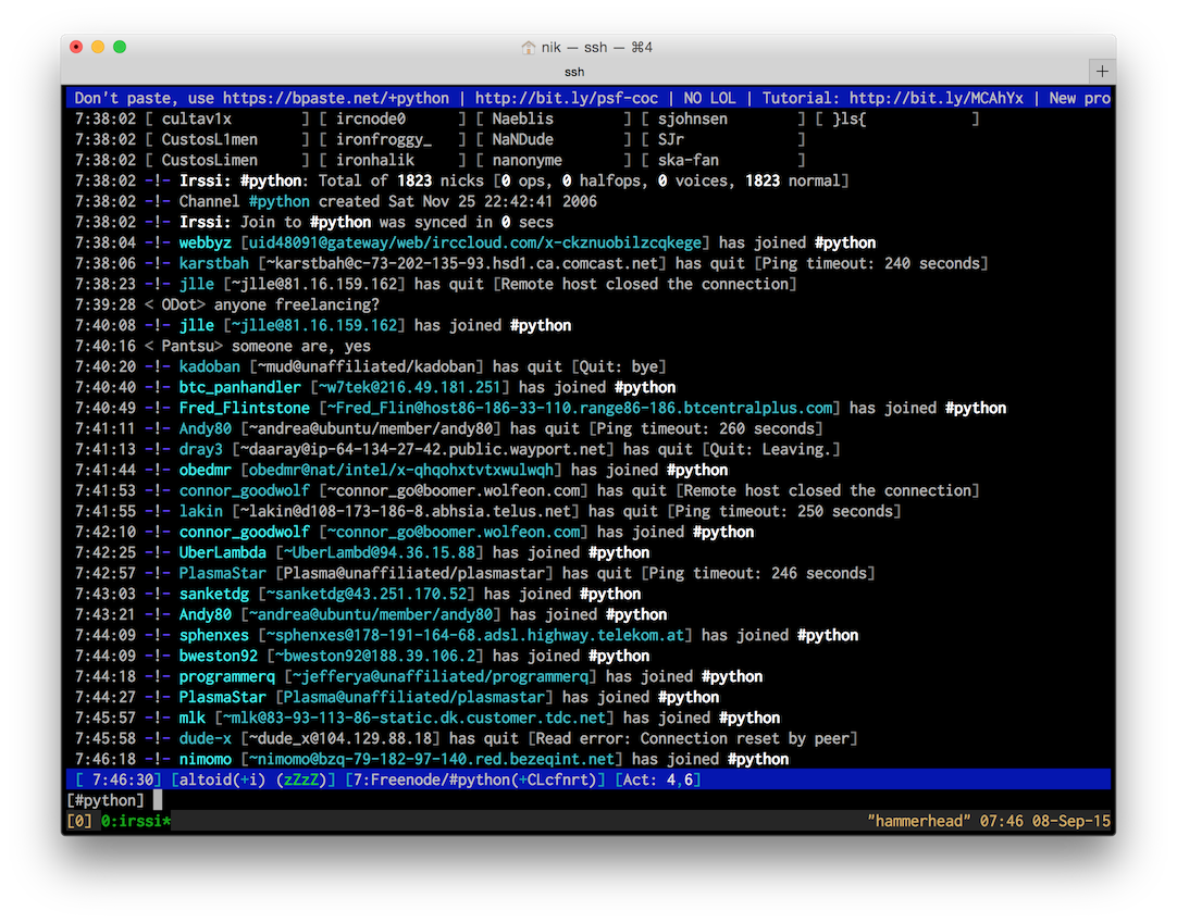 Irssi in the Pro Terminal theem