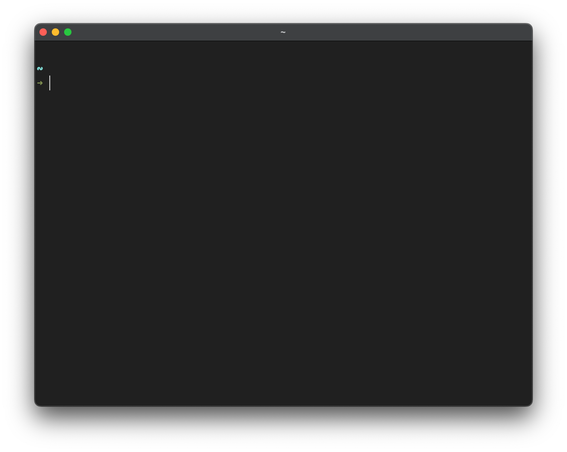 screenshot of blank terminal window